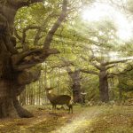 Herne the Hunter as a Stag