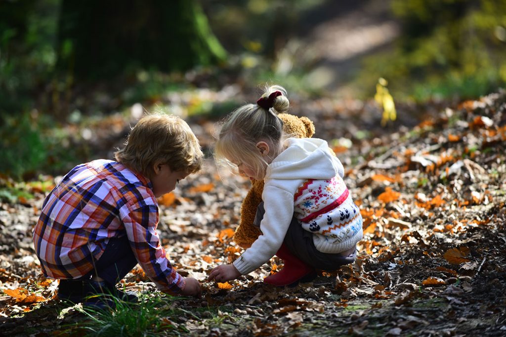 Play is not a break from learning. It is learning. Children Playing in the forest