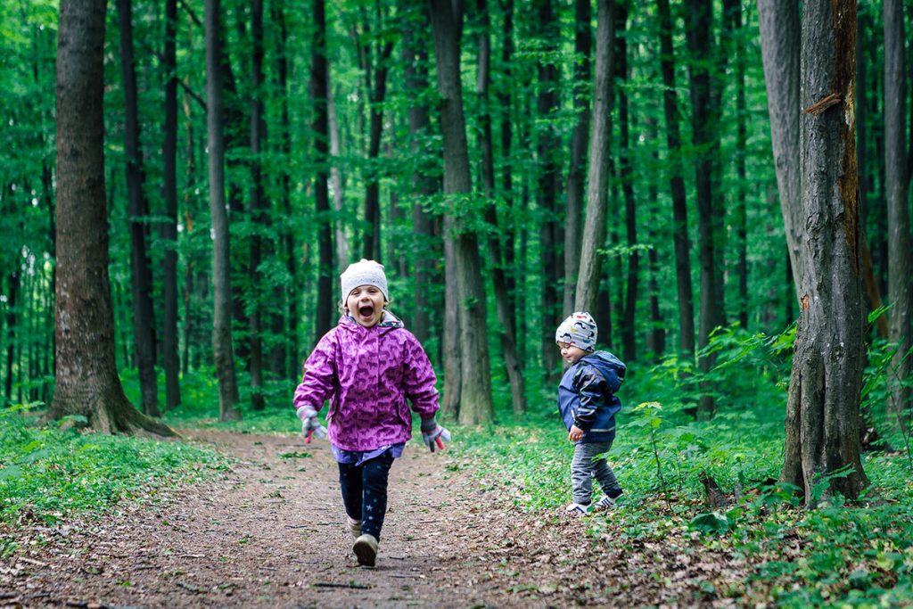 Play is not a break from learning. It is learning. Children running and laughing the the forest