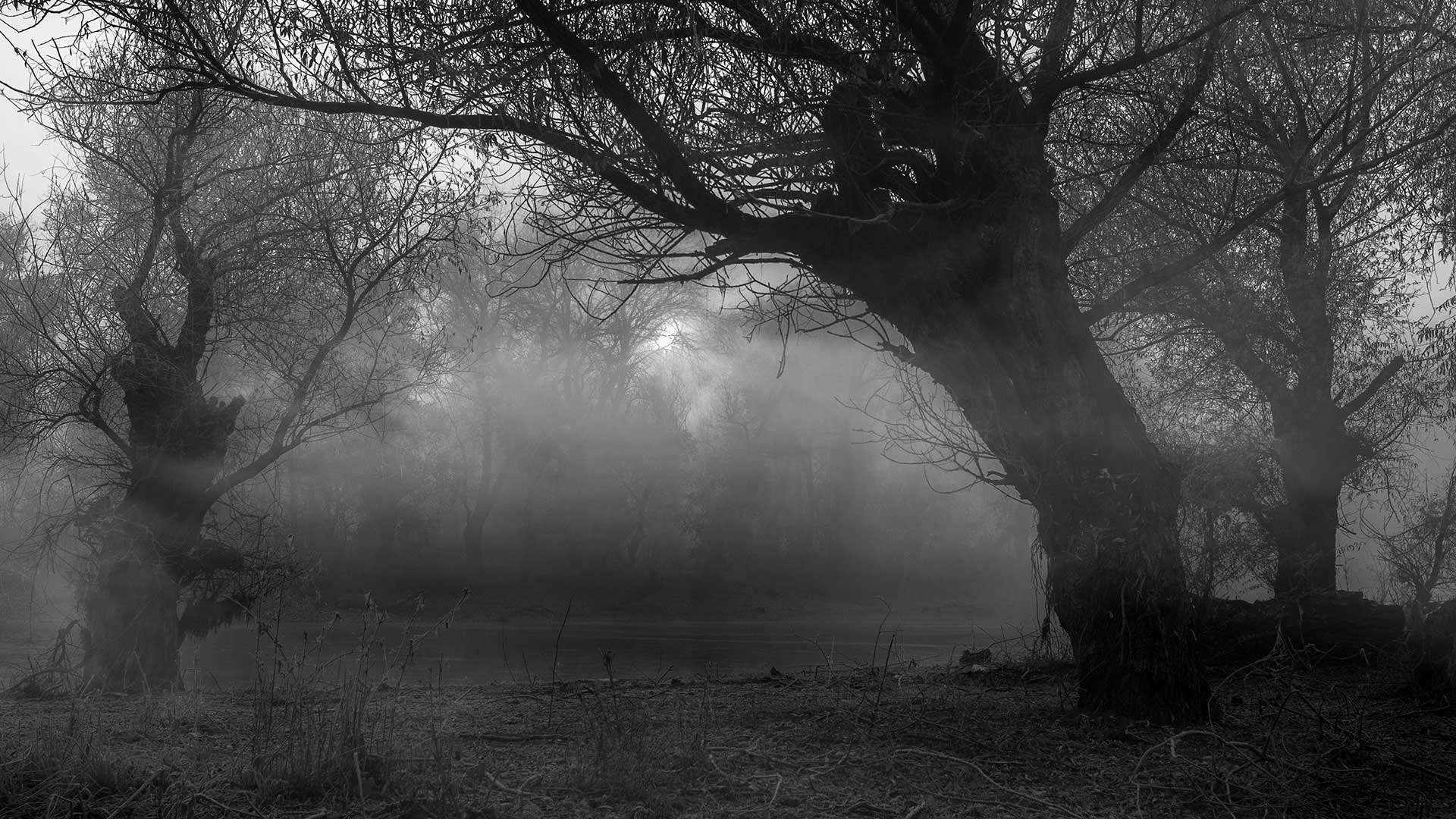 storydivider 1920 1080 72