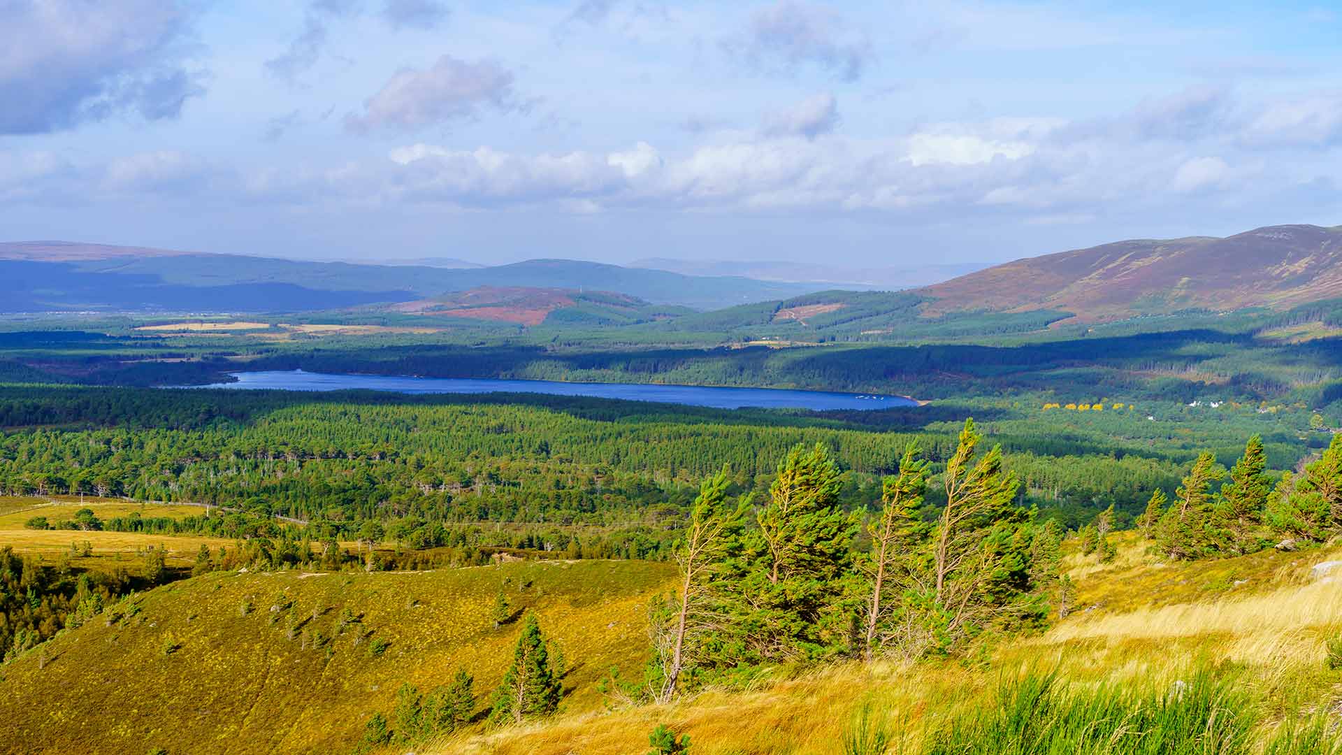 Wide view across forest, loch and hills under a blue sky