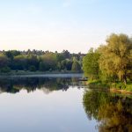 What Is the Mind? A Wandering River