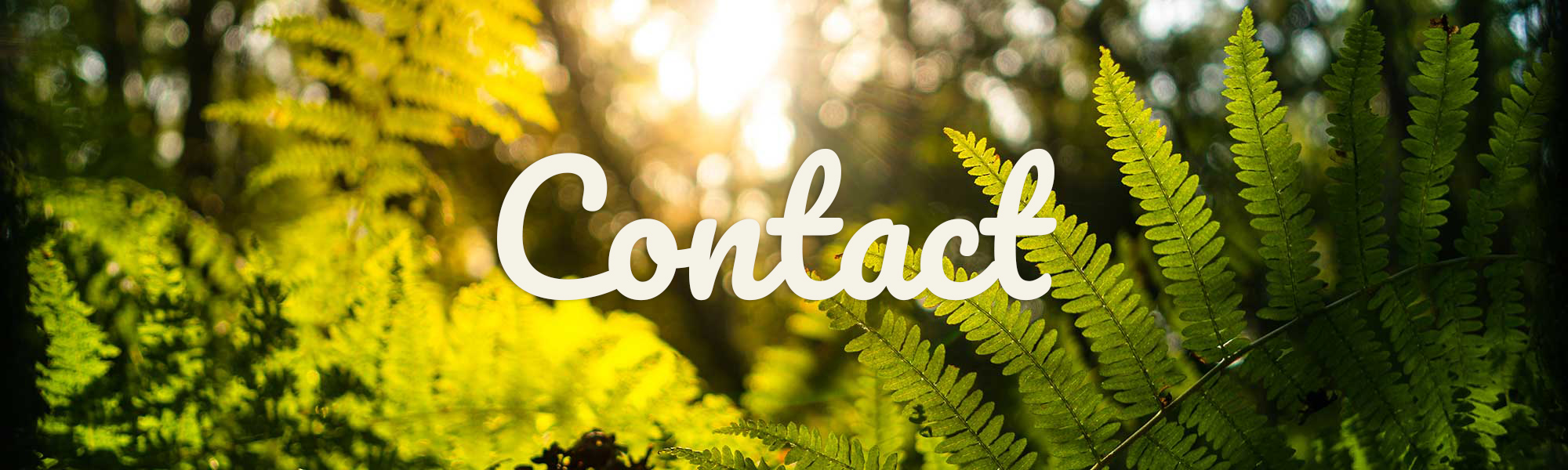 contact