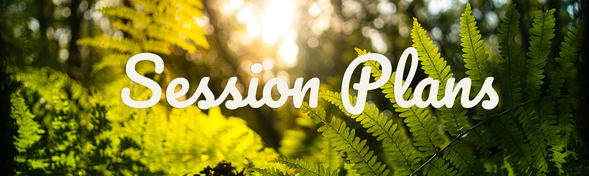 sessionplans