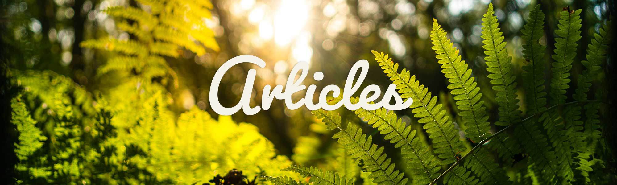 articles