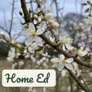 spring equinox / ostara – home ed / parents session plan