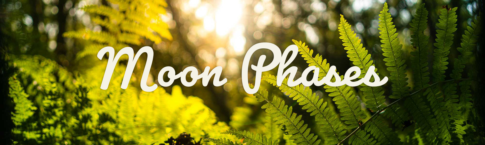 moonphases