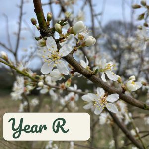 spring equinox / ostara – home ed / parents session plan (copy)