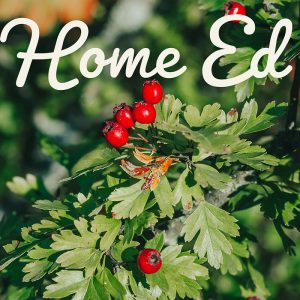 beltane – home ed / parents session plan