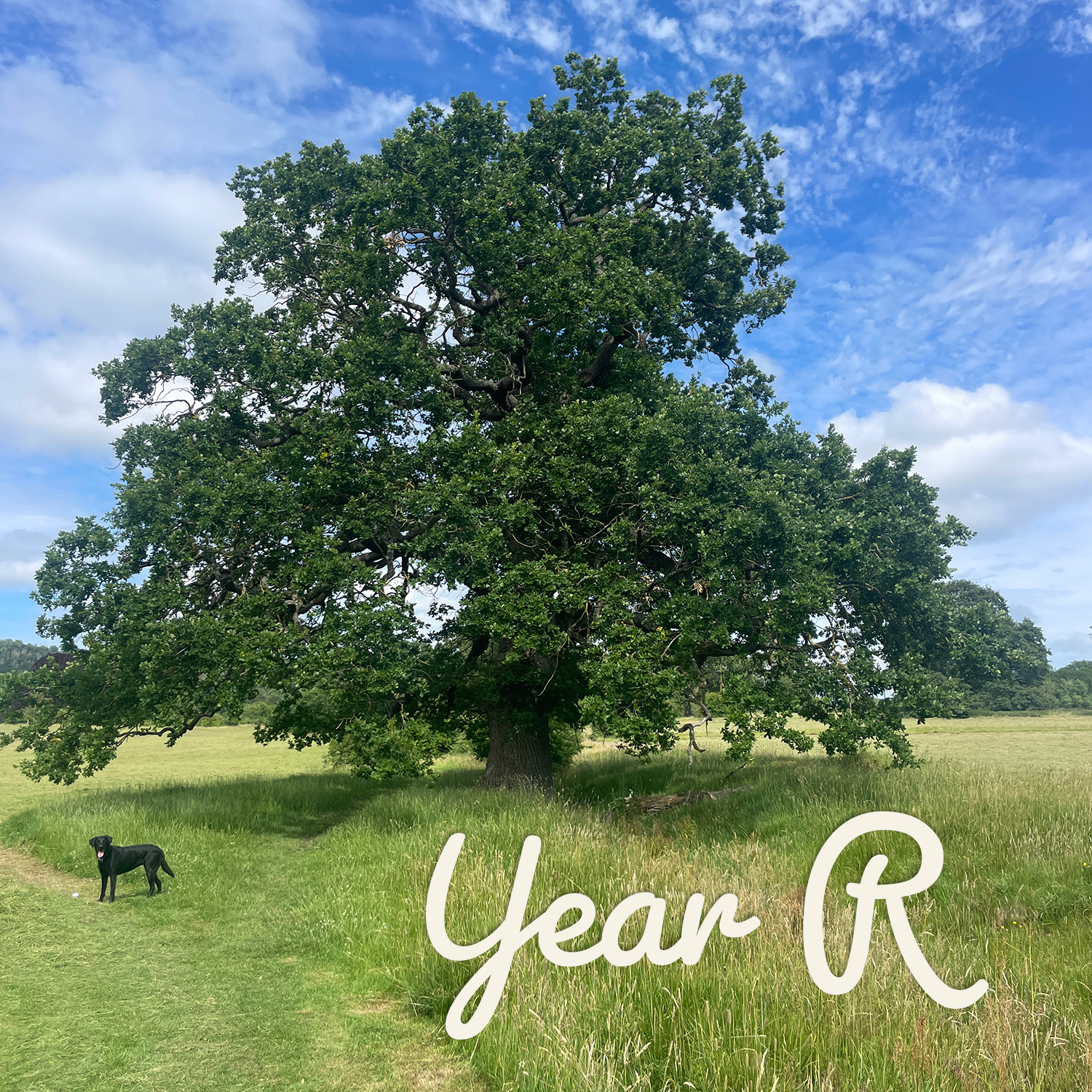 litha – year r session plan litha – year r session plan