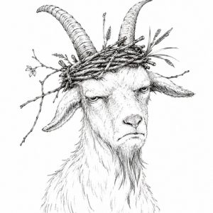Session Plans goat